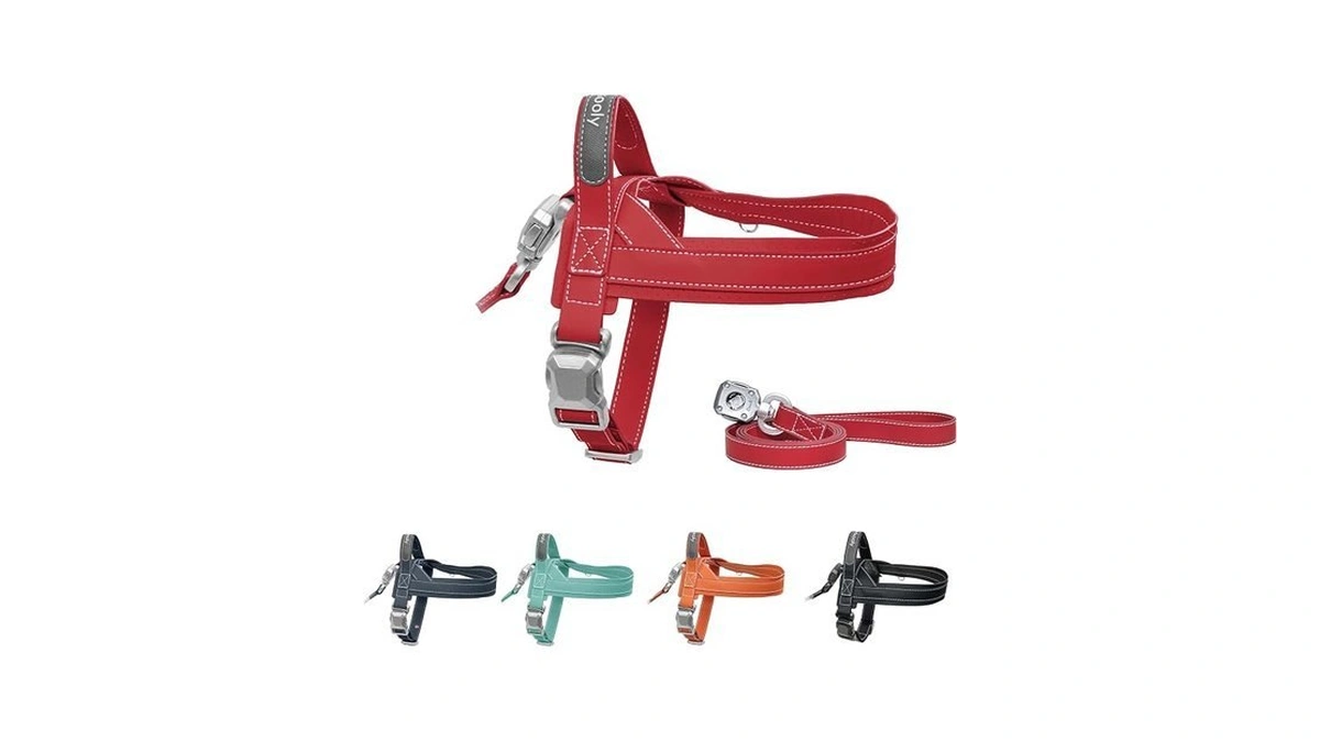 Pawkooly Magease No Pull Dog Harness With 4ft Leash |