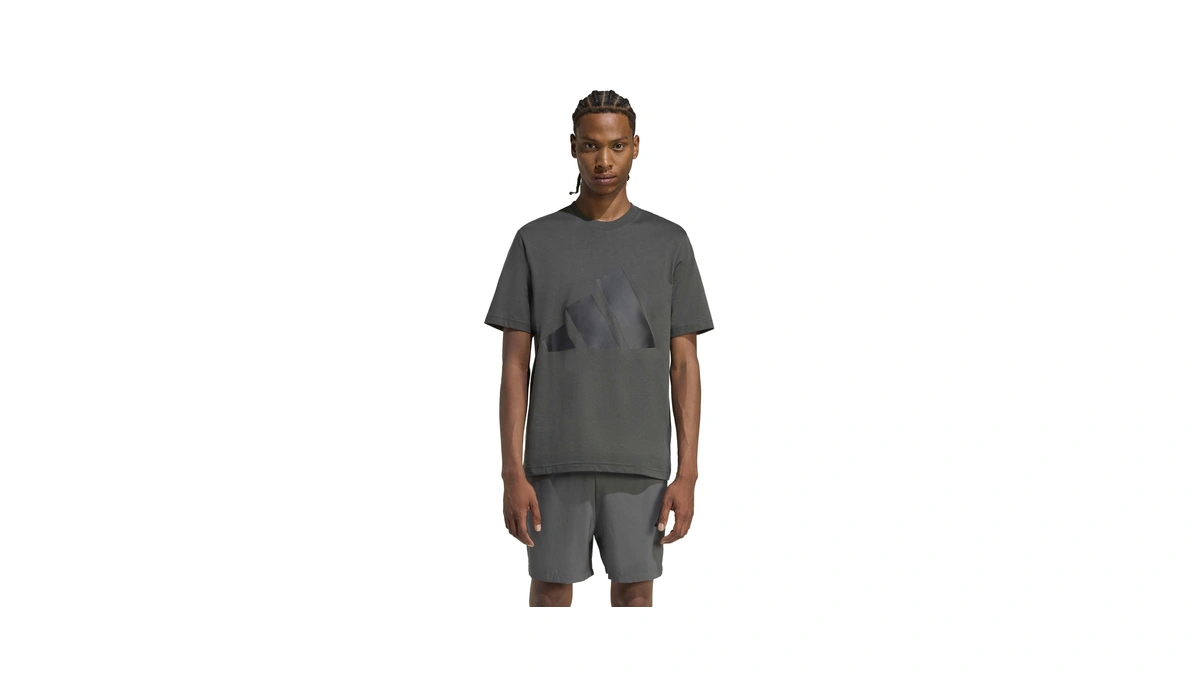 Adidas Men's Essentials Big Logo T-shirt, Grey/black, Medium