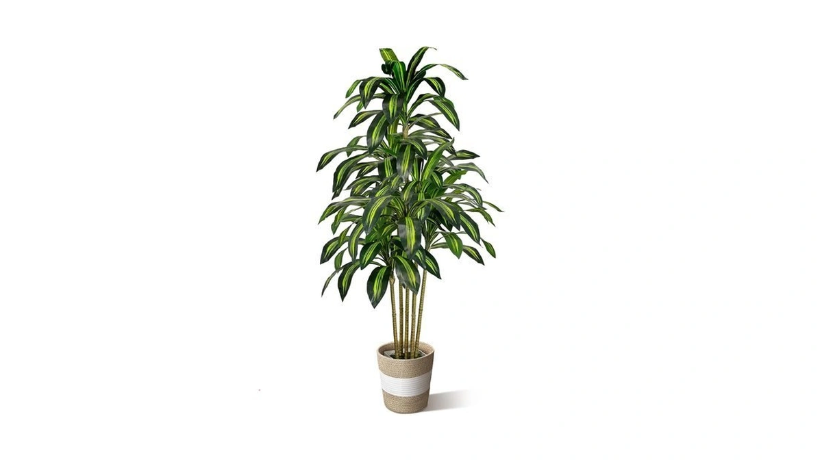 Lucealberi 5ft Artificial Dracaena Tree - Tall Faux Dracaena With