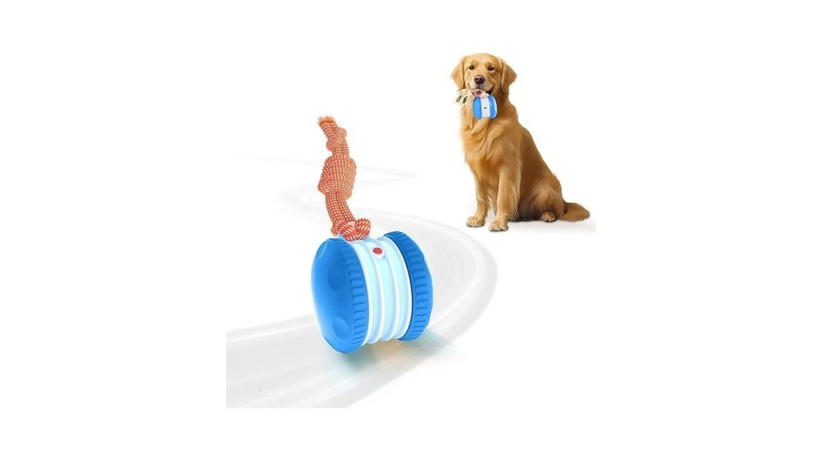 Qgi Interactive Dog Ball, Random Path Electric Automatic Moving And