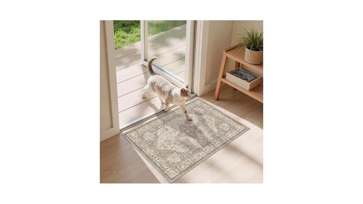Eieihouse Washable Area Rugs For Living Room -2x3 Neutral Vintage