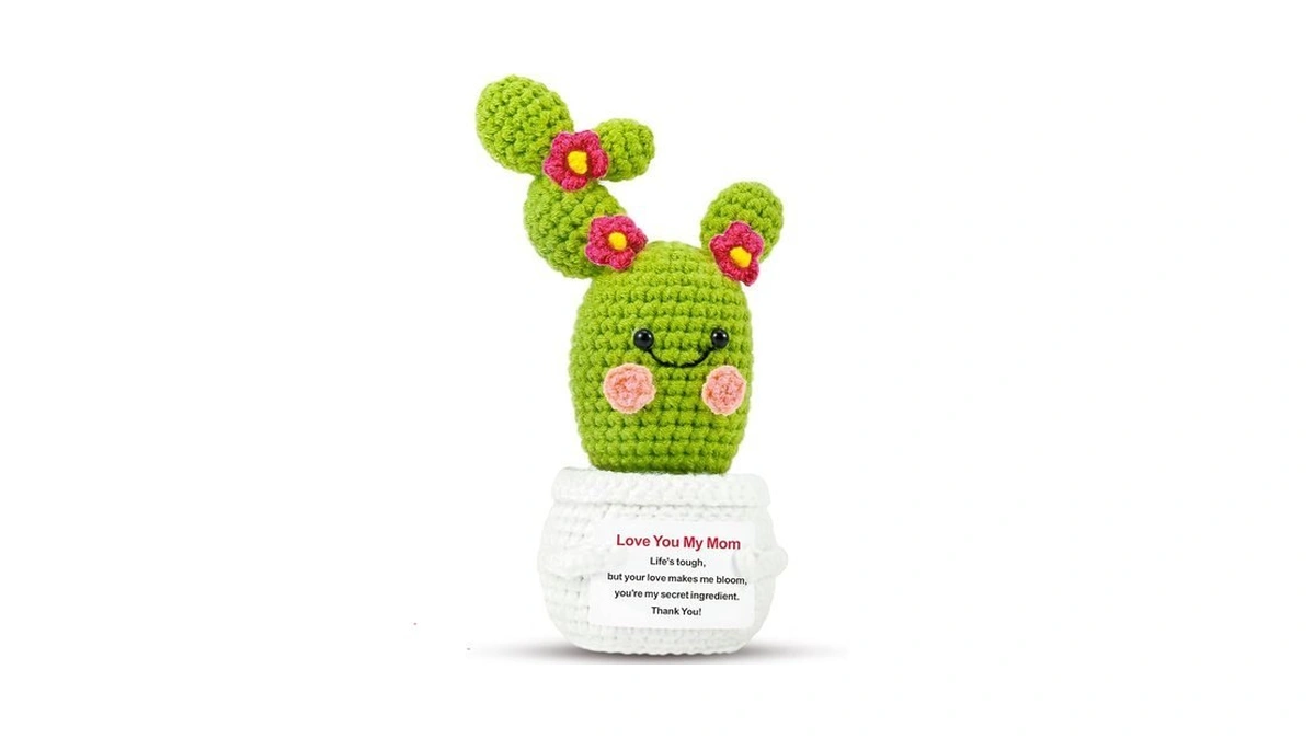 Mom Gifts For Mothers Day From Daughter: Crochet Blooming Cactus