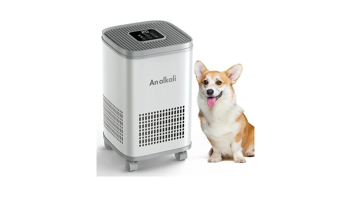 Budget Pet Air Purifier - Alkaline Filter, Large Coverage, App