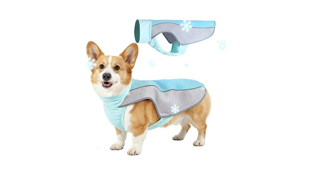 Dog Cooling Vest, Summer Cooler Jacket For Small & Medium