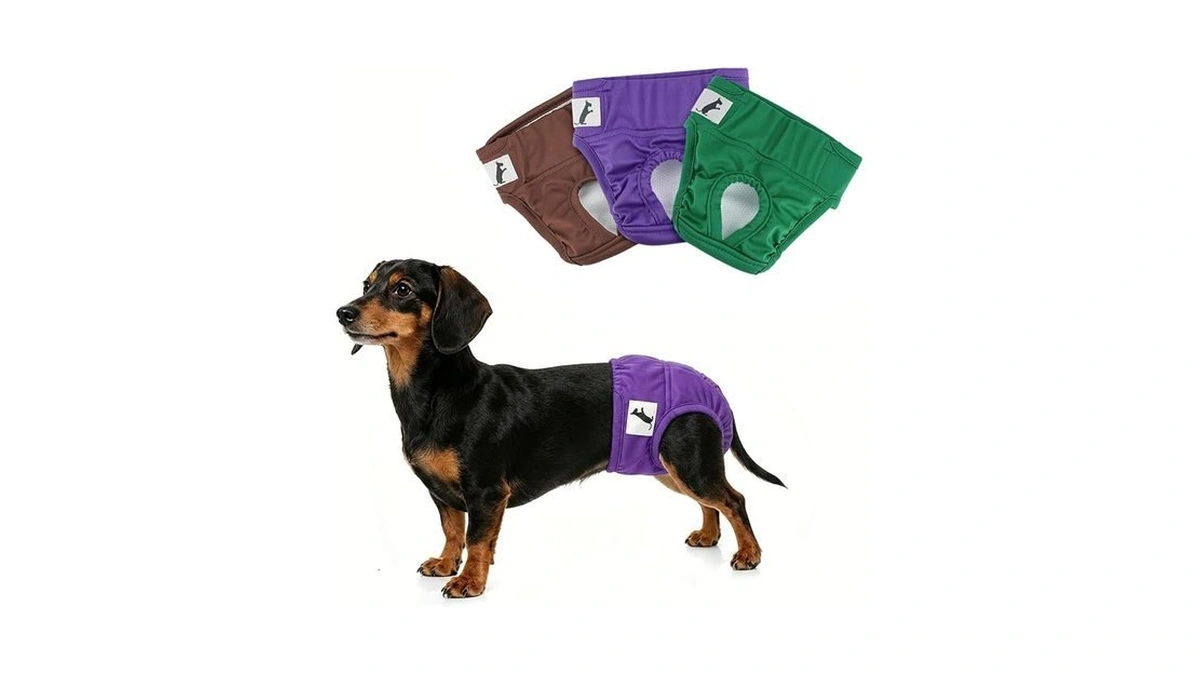 Namsan Female Dog Diapers, 3 Pack Breathable Dog Period Pants
