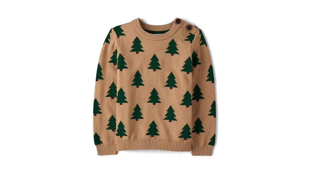 Gymboree,boys,and Toddler Long Sleeve Crew Neck Pullover Sweater,chipmunk Trees,8
