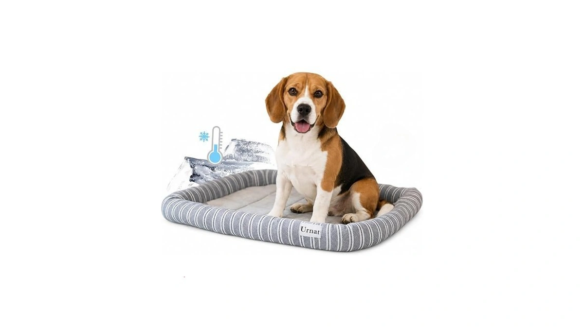 Urnat Cooling Bed Mat For Cat & Small Dog Up