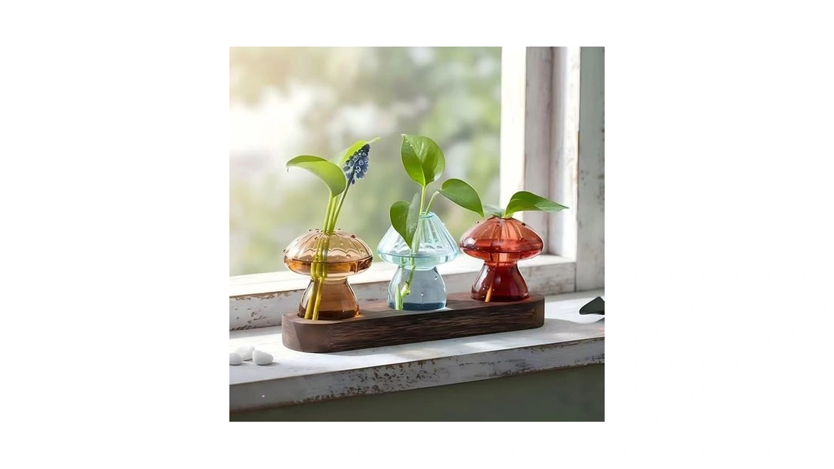 Remadascb Plant Propagation Stations Mini Vase Set, Set Of 3