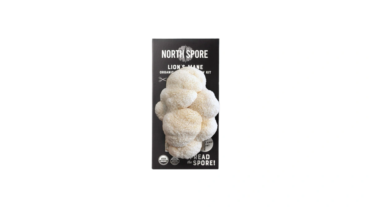 North Spore Organic Lion's Mane Mushroom Spray & Grow Kit