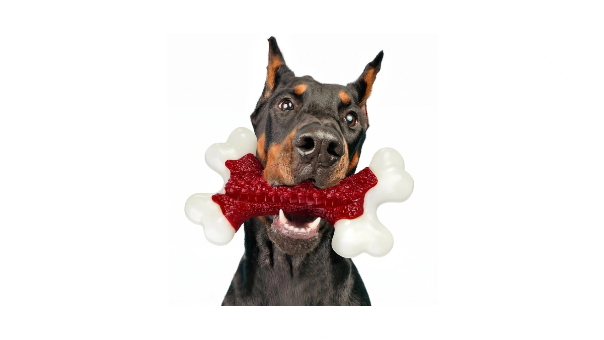 Kseroo Tough Dog Toys For Aggressive Chewers: Beef Flavored Hard