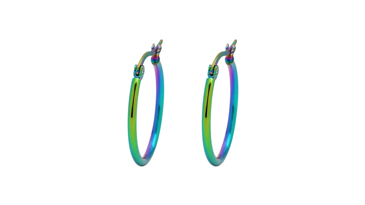 Edforce Stainless Steel Rounded Hoops Earrings (20mm-60mm Diameter) (rainbow 20mm)