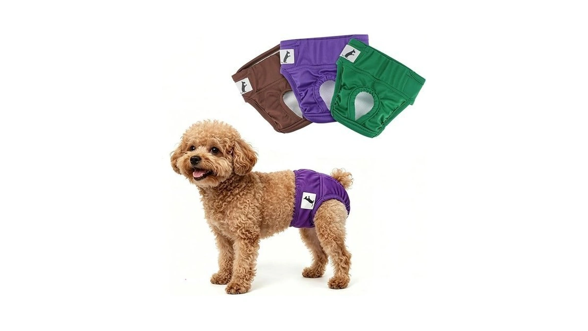 Namsan Female Dog Diapers Small Breed, 3 Pack Breathable Dog