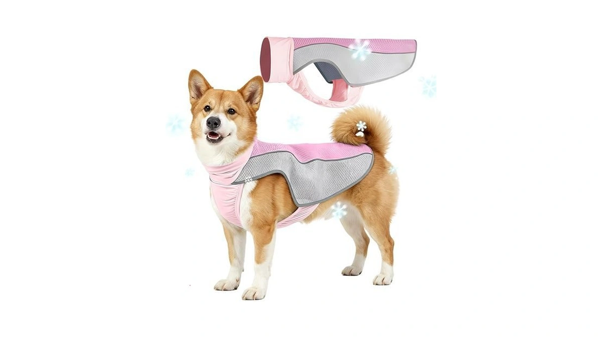 Dog Cooling Vest, Summer Cooler Jacket For Small & Medium
