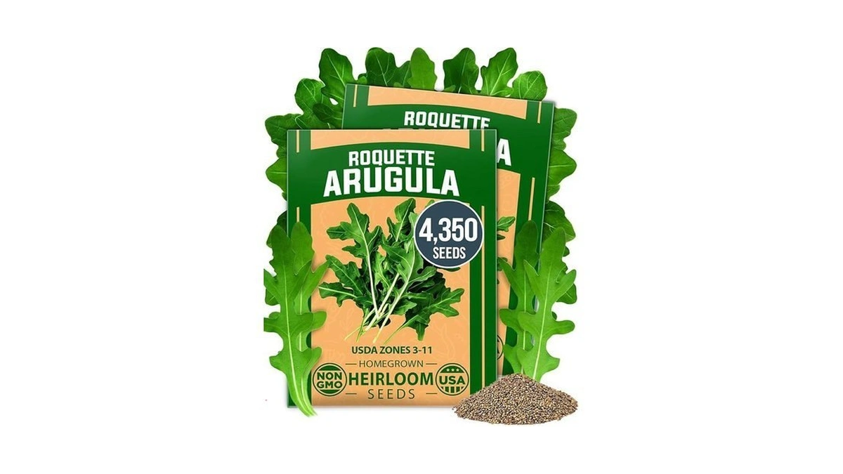 Home Grown Arugula Roquette Seeds 4350+ Bulk Pack Heirloom Non-gmo,