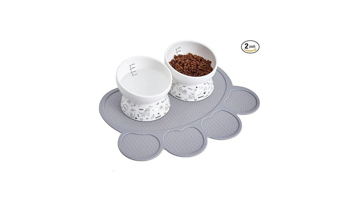 Howise Ceramic Raised Cat Bowl Set | Elevated Food And