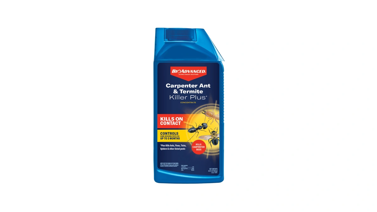 Bioadvanced Carpenter Ant & Termite Killer Plus Concentrate - Kills