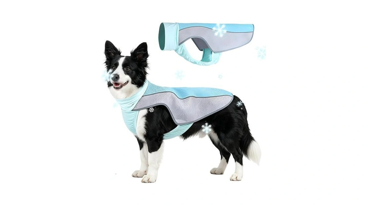 Dog Cooling Vest, Summer Cooler Jacket For Small & Medium
