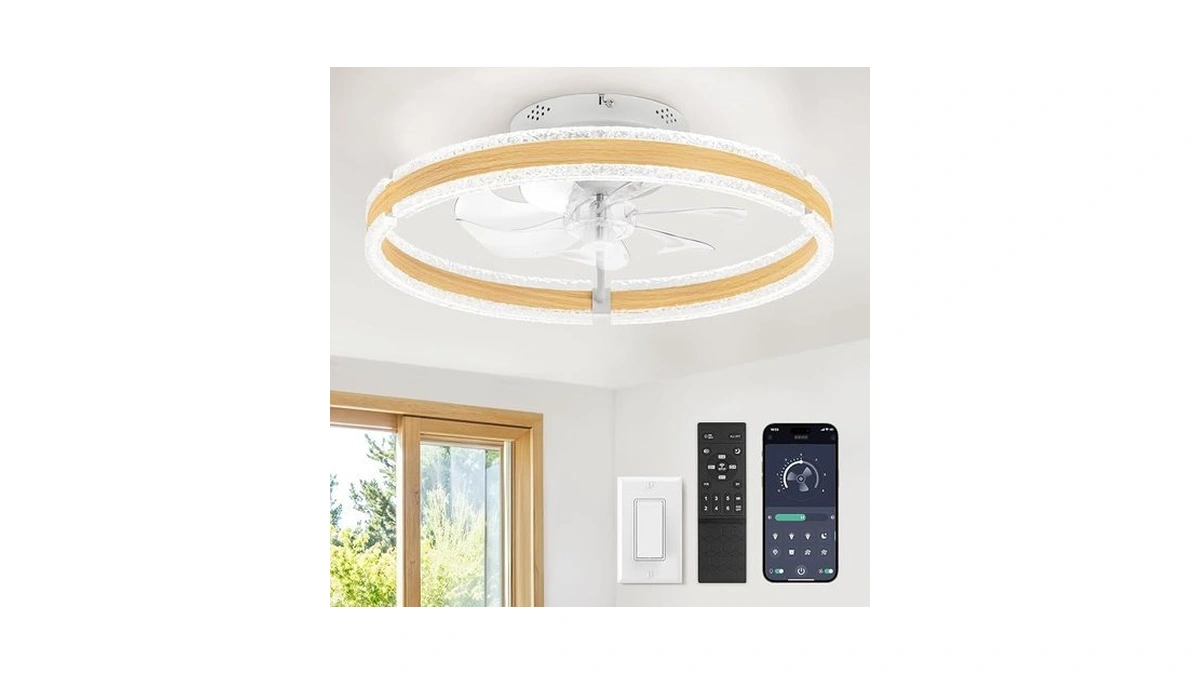 Lediary Ceiling Fans With Lights And Remote, 20'' Low Profile