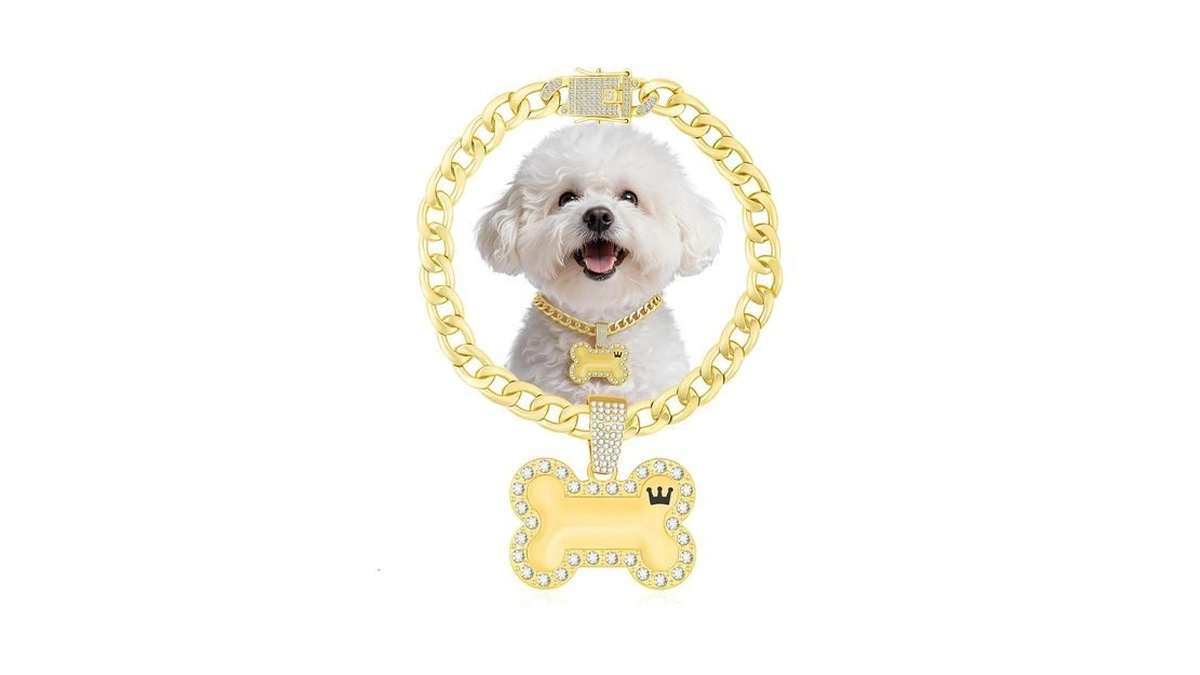 Kynox Cuban Gold Link Heavy Duty Necklace Dog Cat Collar