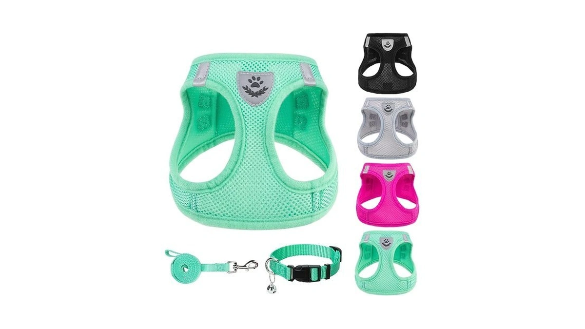 Pupteck Adjustable Dog Harness Collar And Leash Set Step In