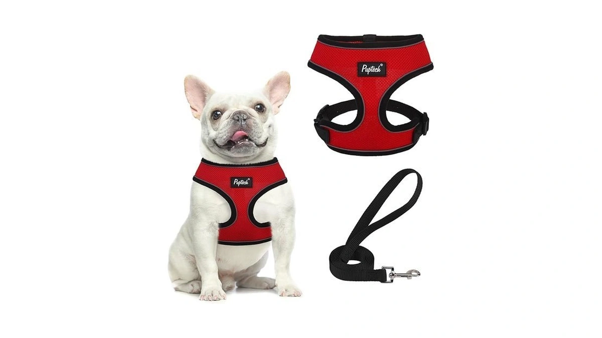 Pupteck Soft Mesh Dog Harness And Leash Set Pet Puppy