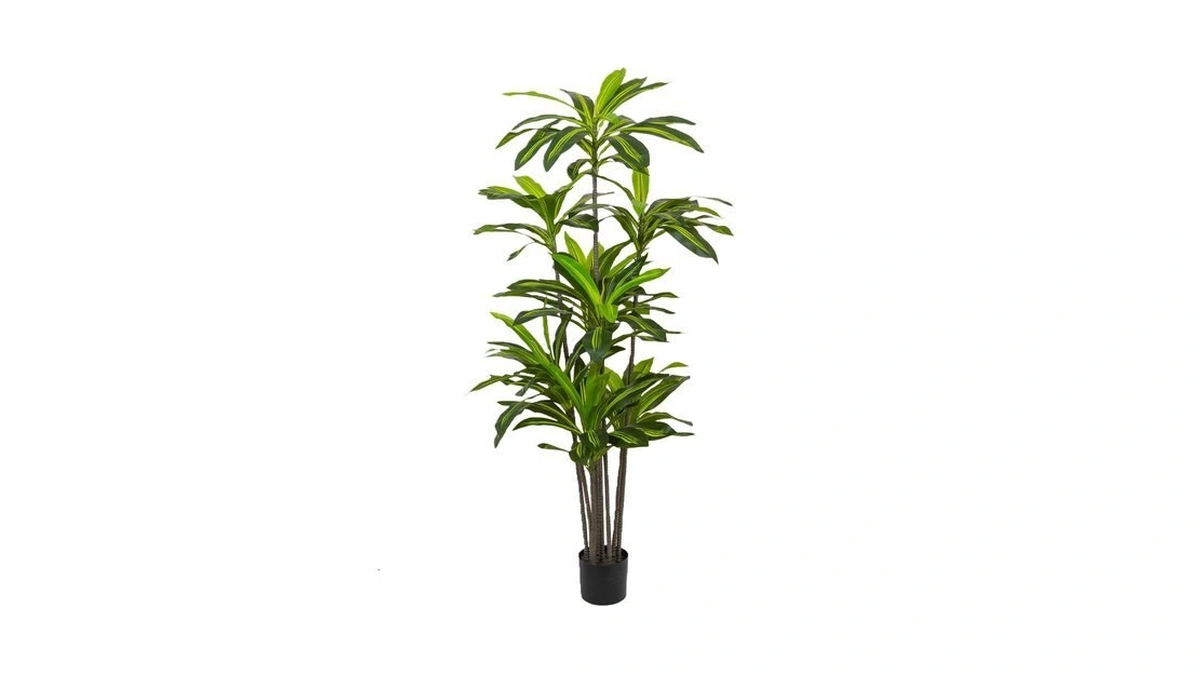 Azureleap Artificial Dracaena Tree 6ft - Fake Tree With Black