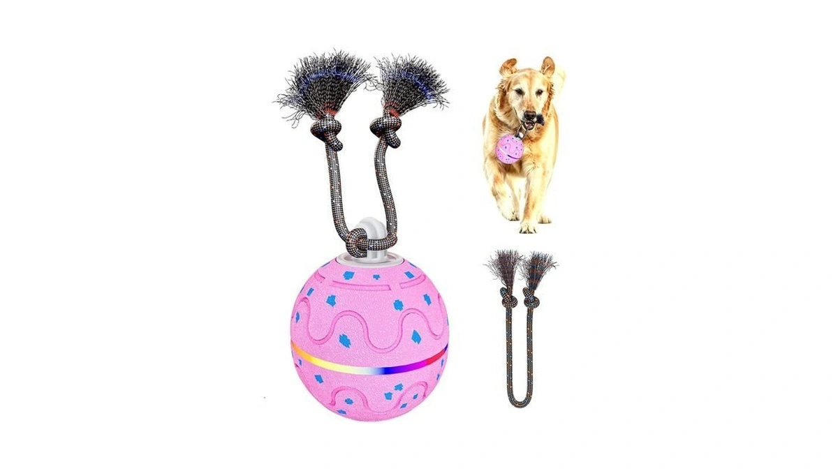 Interactive Dog Ball Toy With 2 Rope, Automatic Rolling &