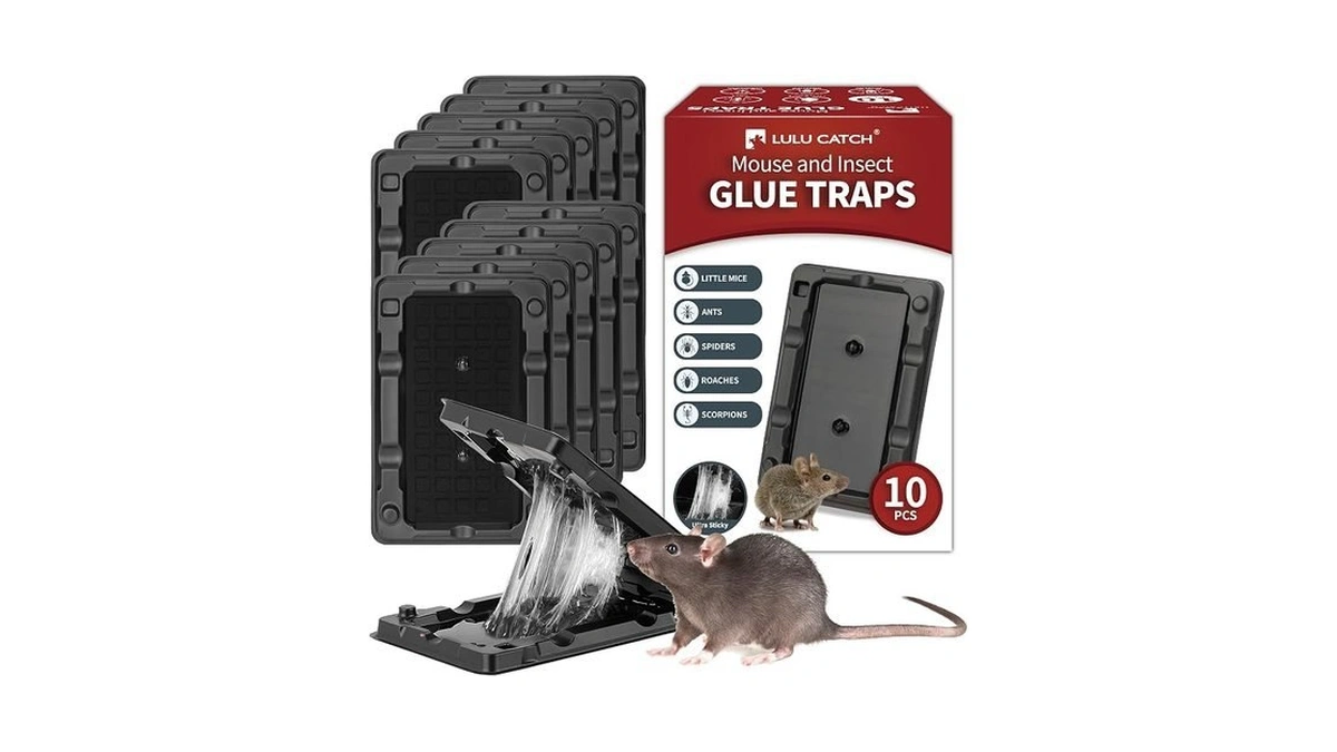 Lulucatch Mouse & Insect Glue Traps, 10 Pack Pre-scented Sticky