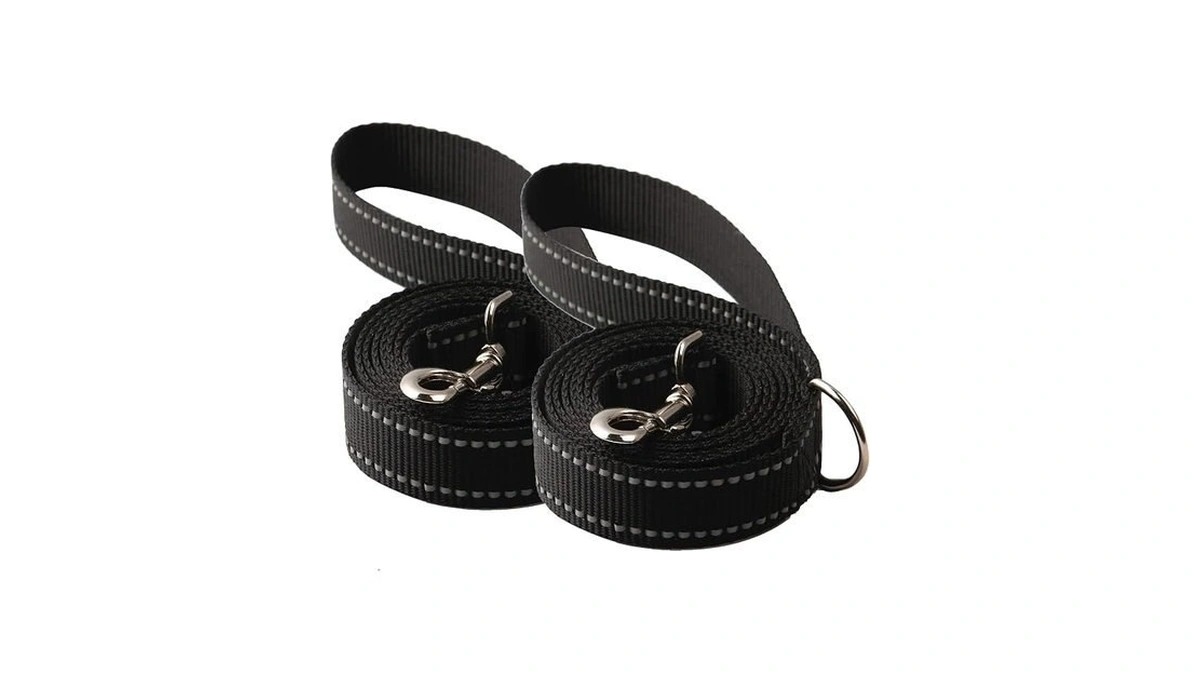Sunnq [2 Pack] 6ft Reflective Dog Leash, Heavy Duty Nylon