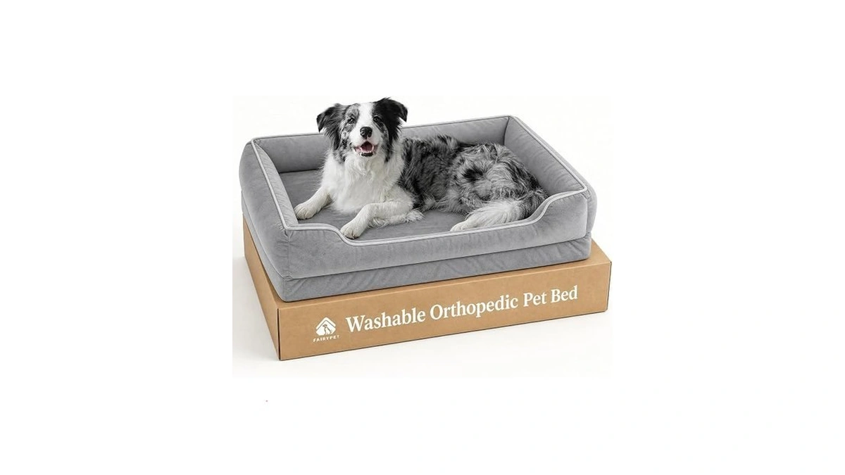 Fairypet Orthopedic Dog Bed For Medium To Large Dogs &