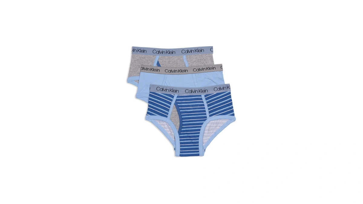 Calvin Klein Kids Boys' Modern Cotton Brief Underwear 3-pack, Blue