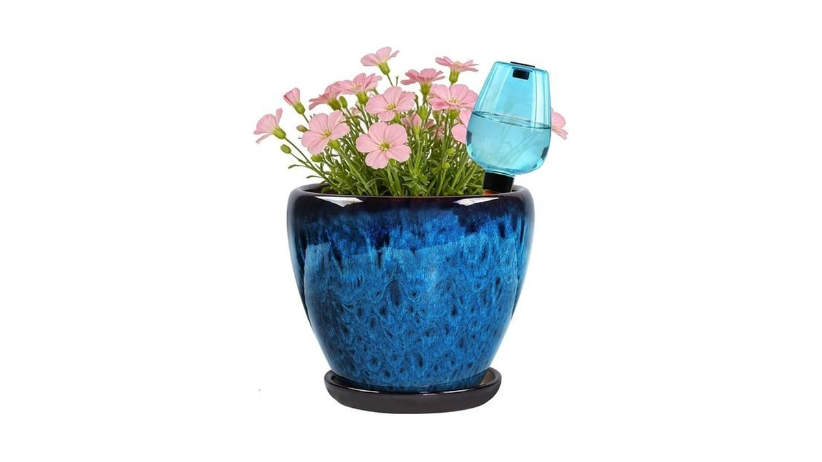 Xoogifae Ceramic Pots For Plant With Self Watering Globes, 6
