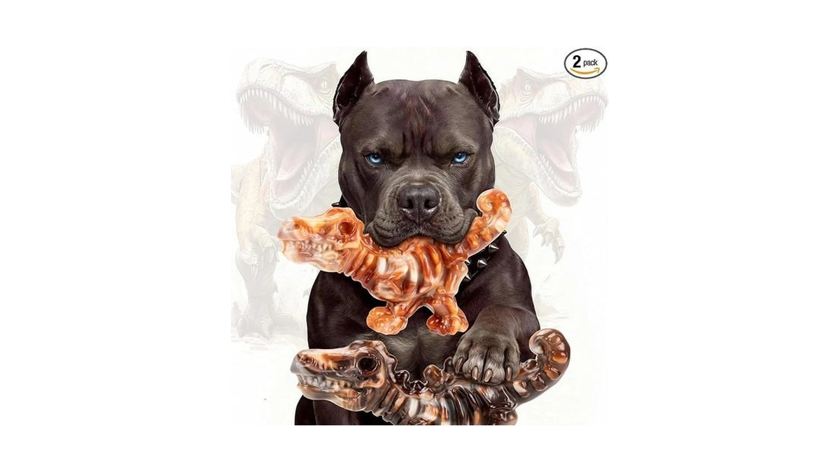 Dinobone 2-pack Tough Dog Chew Toys For Aggressive Chewers, Rock-hard