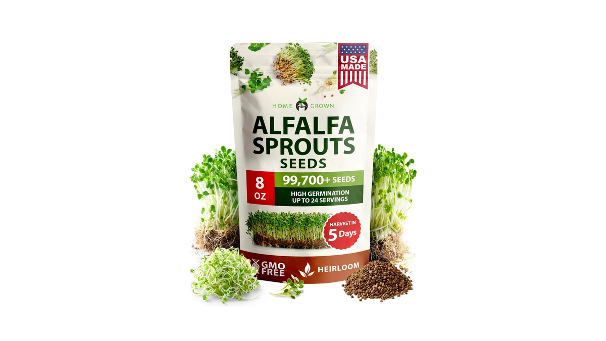 Home Grown Alfalfa Sprout Seeds 8 Oz Bulk Heirloom Non-gmo,