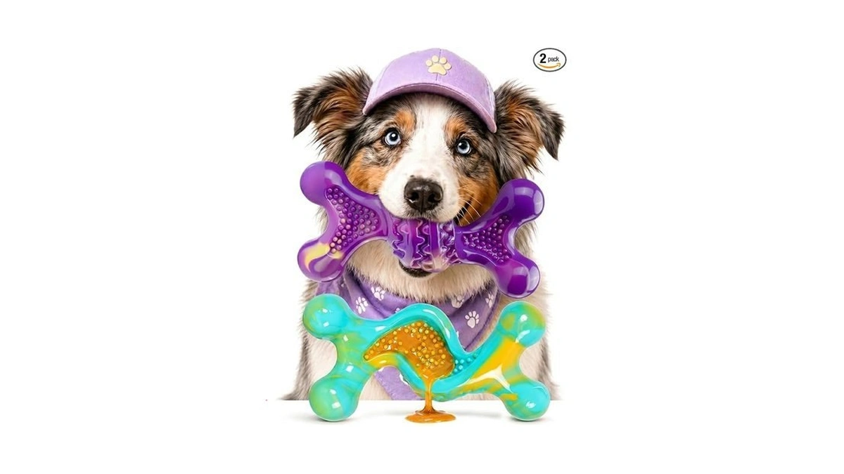 Kseroo Indestructible Dog Toy : 2 Pack Dog Toys For
