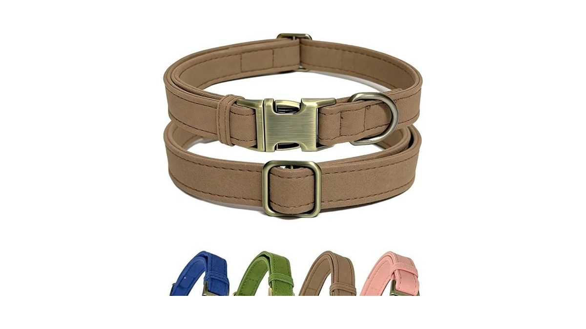 Dog Collars For Medium Dogs, Large Dog Collar, Female Dog