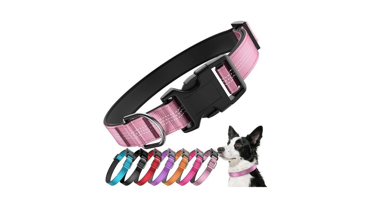 Reflective Dog Collar With Buckle, Heavy Duty Dog Collars With