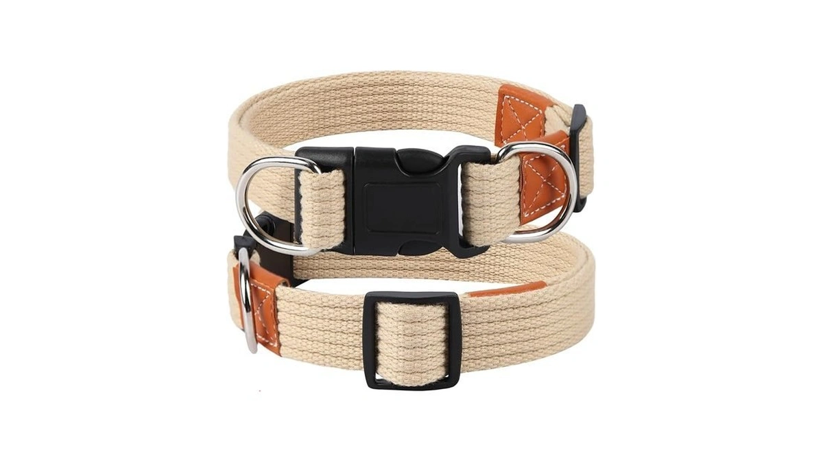 Tdtok Dog Collar For Large Medium Dogs, Heavy Duty Durable