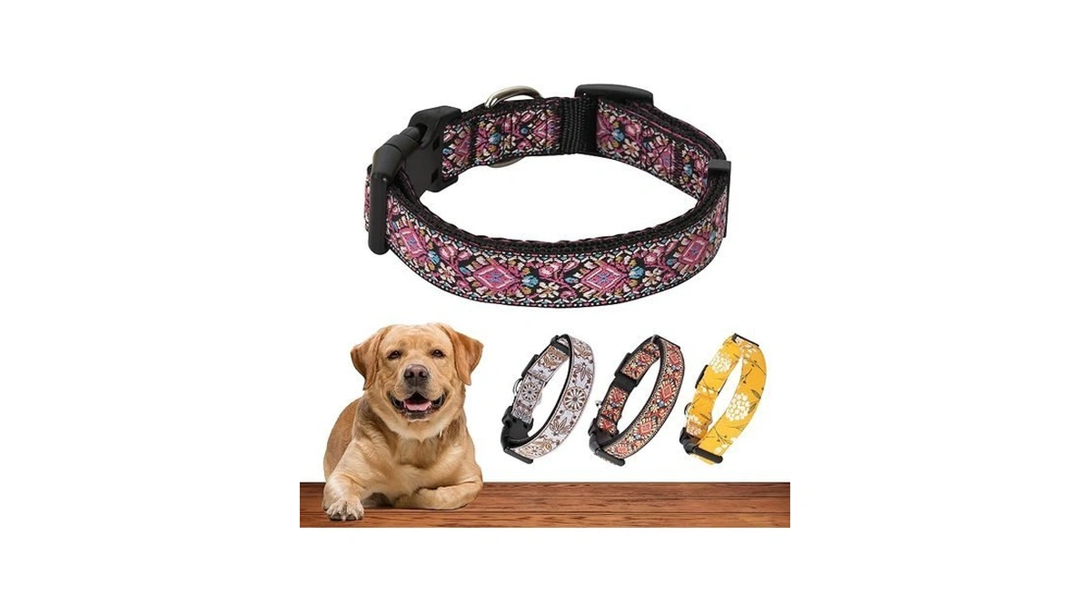Dog Collar For Small Medium & Large Dogs - Woven
