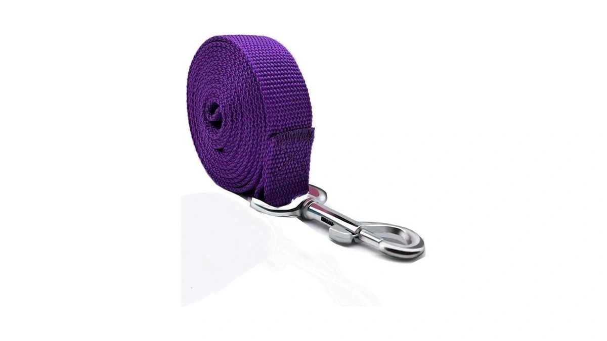 Taian 6 Ft Strong Dog Leash, Nylon Dog Leashes For