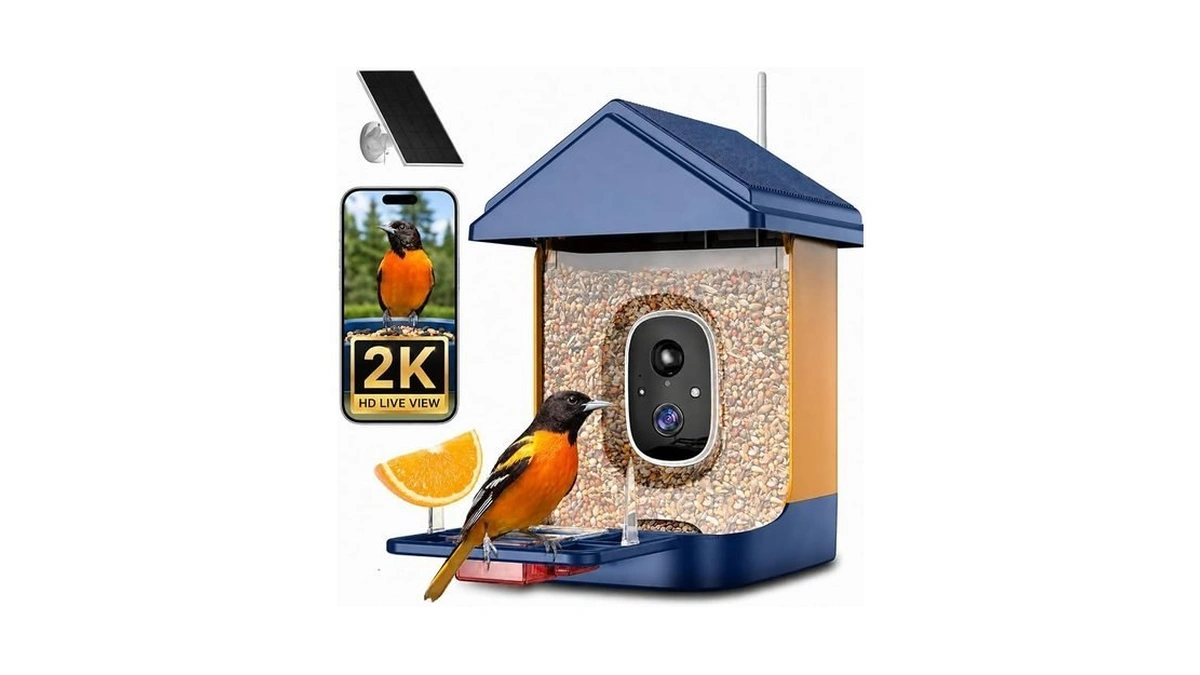 Bird Feeder With Camera, Smart Solar Powered Bird Feeder, 2k