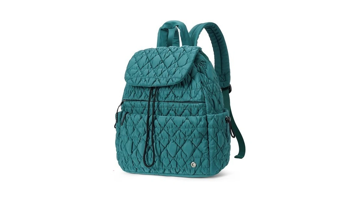 Cluci Puffy Quilted Backpack For Women, Casual Lightweight Daypack For