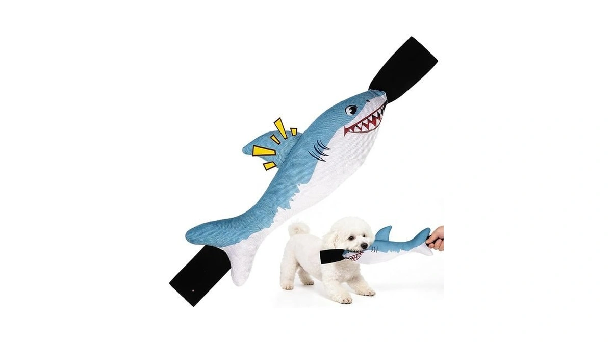 Bingpet Interactive Dog Toys For Small Dogs, Squeaky Dog Chew