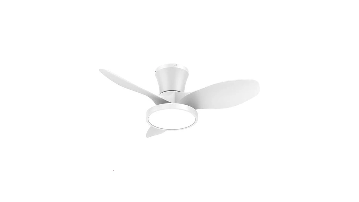 Ocioc Ceiling Fans