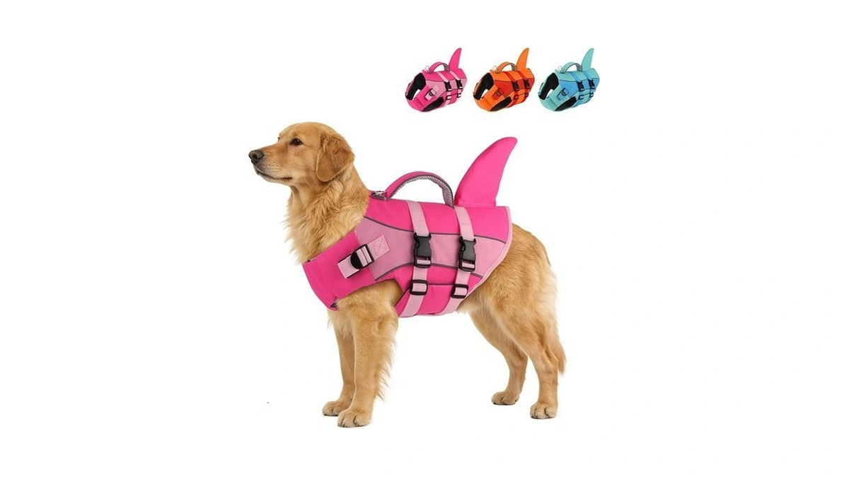 Petdsh Dog Life Jacket With Reflective Stripes, Shark Dog Life