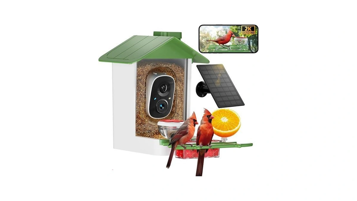 Bird Feeder With Camera 2k Hd Ai Smart Identify Birdspecies