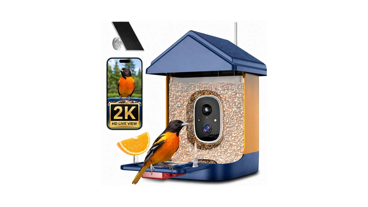 Bird Feeder With Camera, Smart Solar Powered Bird Feeder, 2k