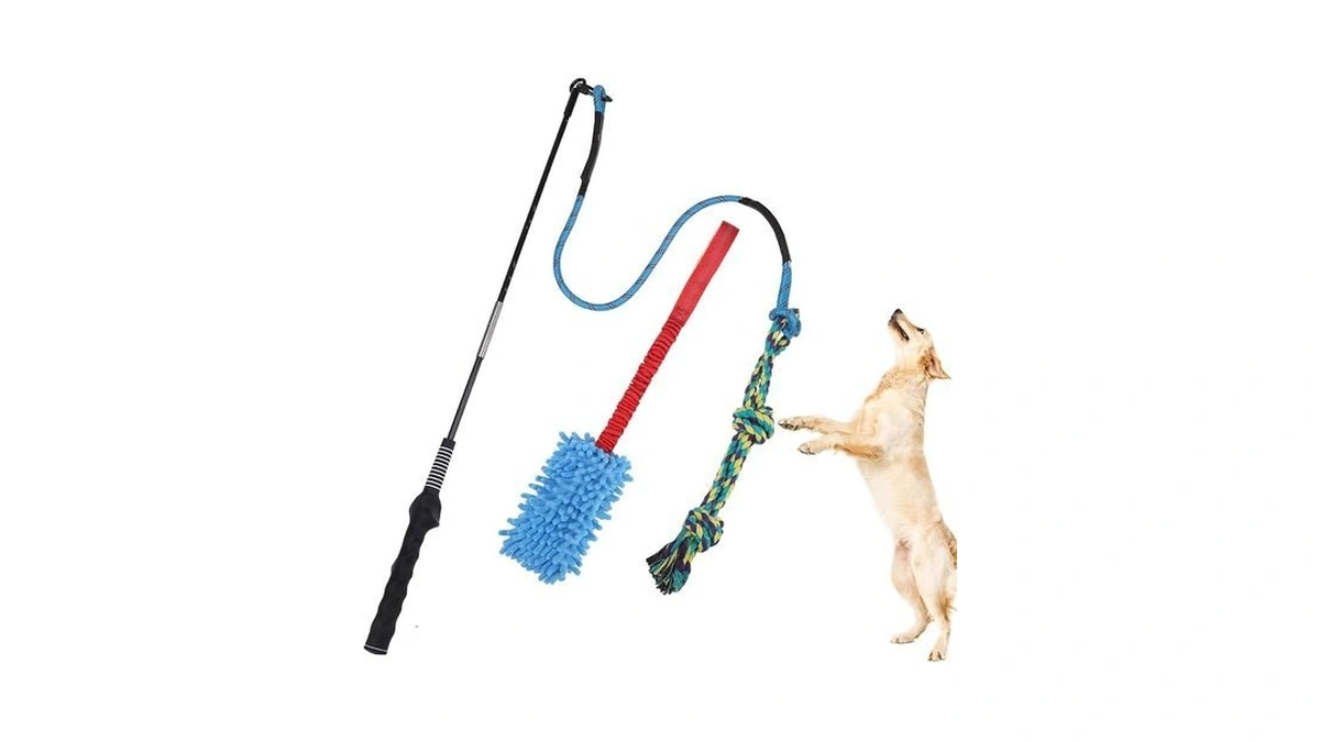 Bingpet Flirt Pole For Dogs,interactive Dog Toys For Large Medium