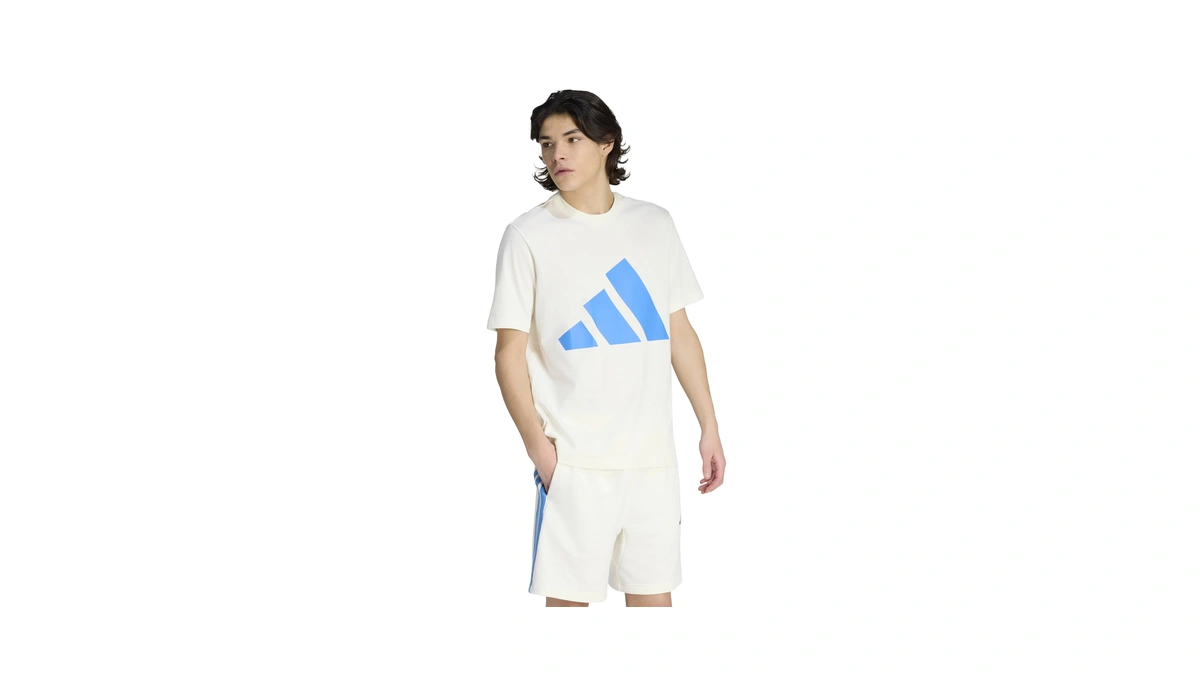 Adidas Men's Essentials Big Logo T-shirt, Off White/ray Blue, X-large