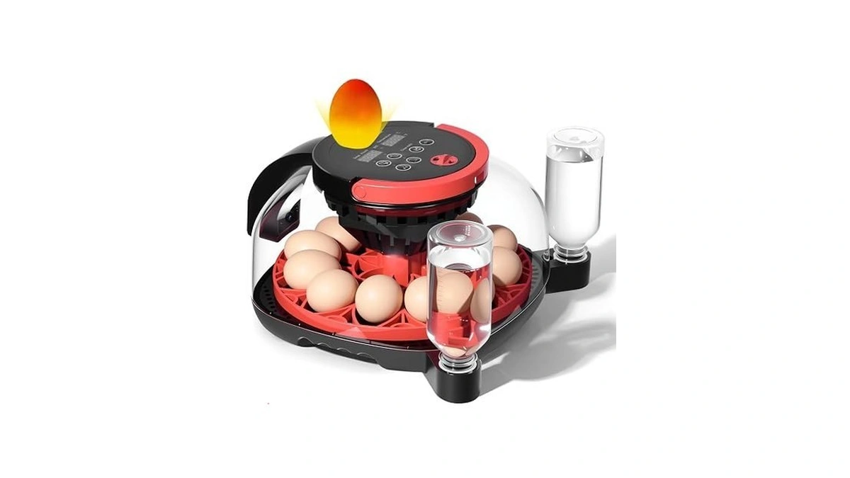 Incubators For Hatching Eggs With 1080p Hd Night Vision Camera